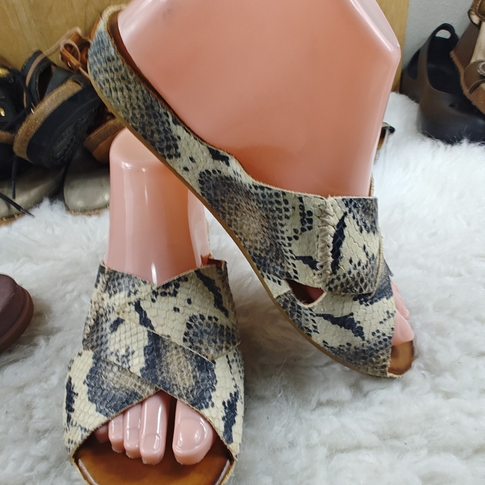 Johnston & Murphy Snake Print Leather + L.L. Bean Purple Slides  Bundle Size 8 - Picture 5 of 10